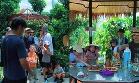 Sang Việt Nam ăn thỏa thích loại quả giá cả triệu đồng, khách Nhật còn lúi húi nhặt sạch vỏ trước khi rời đi