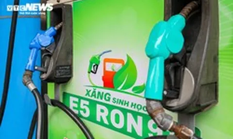 Vì sao xăng E5 khan hiếm, khó mua?