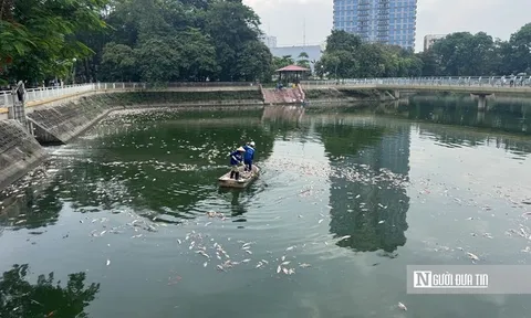 Hà Nội: Cá chết nổi trắng hồ Nghĩa Đô