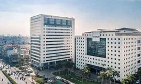 REE sắp họp bất thường: Mở rộng vai trò Ủy ban Chiến lược do bà Mai Thanh làm Chủ tịch, phát hành 500.000 cổ phiếu ESOP