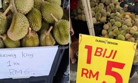 Chuyện gì đang xảy ra tại quốc gia ‘sầu riêng vua’ của Đông Nam Á: Giá giảm còn 3.000 đồng/quả, nông dân gặp áp lực