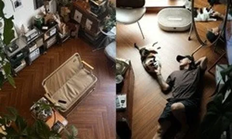 Căn hộ 35m2 có gác xép của chàng trai 37 tuổi mê trồng cây, đang sống cùng hai chú mèo