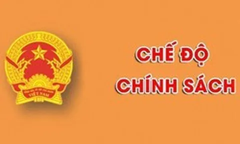 Đề xuất người đang hưởng trợ cấp hưu trí xã hội không thuộc diện tham gia BHXH bắt buộc, BHXH tự nguyện
