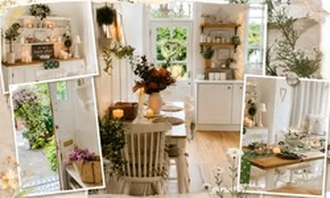 Căn nhà ngập hoa của nữ luật sư nghỉ hưu gây sốt mạng xã hội: Tuổi 67 vẫn có thể bắt đầu một sự nghiệp mới