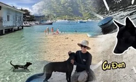 Có một "nhân viên" ai đến đảo Bích Đầm cũng muốn gặp: Da rám nắng, ngày nào cũng đi tuần bãi biển