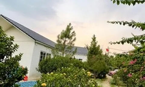 Nam nghệ sĩ Việt sở hữu nhà vườn rộng 1.000m²: Nhìn đâu cũng thấy hoa, góc nào cũng chill như tranh vẽ