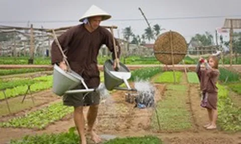 Việt Nam có ngôi làng khách Tây xếp hàng để được làm nông dân, bí quyết rau ngon nằm ở một loại "phân bón" lạ