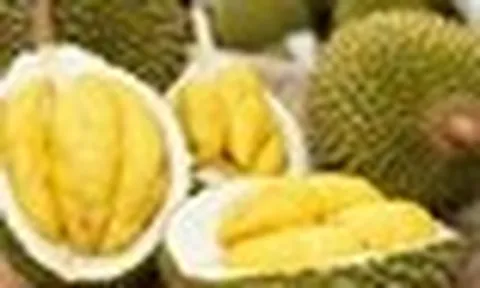 Sầu riêng thuộc nhóm trái cây nhiều đường nhưng chuyên gia lại khuyên một số người nên ăn: Hoá ra là vì điều này!