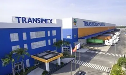 Hàng loạt sai phạm về công bố thông tin, Transimex bị xử phạt 555 triệu đồng