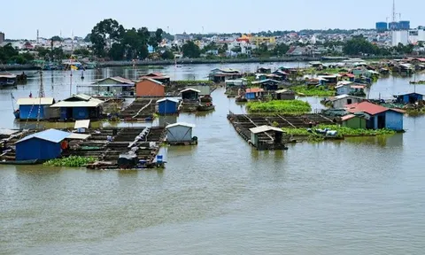 Đồng Nai “khai tử” hàng nghìn lồng bè giữa lòng đô thị