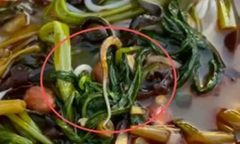 Tưởng là mộc nhĩ, người phụ nữ bàng hoàng khi nhìn rõ thứ nổi trong bát bún: Chủ quán xử lý gây tranh cãi