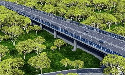 Việt Nam đang xây dựng tuyến đường xuyên rừng nguyên sinh dài 13km, kết nối cầu Mã Đà với Vành đai 4 TP.HCM, lần đầu tiên áp dụng một công nghệ đặc biệt