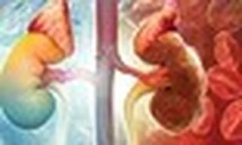 1 thói quen buổi tối có thể khiến thận xuống cấp nhanh chóng: Gặp ở rất nhiều người Việt