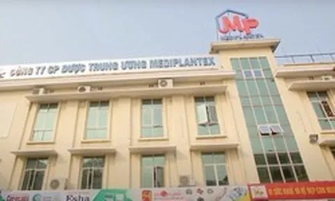 Tổng giám đốc một công ty dược đơn phương chấm dứt Hợp đồng lao động