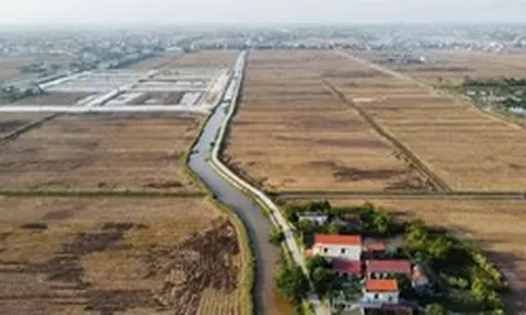 Đề xuất nâng mức đặt cọc đấu giá tối thiểu lên 20%: Kỳ vọng chặn 'cò' thổi giá đất