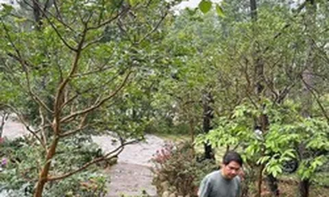 Biệt thự ngoại ô 4.000m² của "ông hoàng nhạc đỏ": Thứ đắt giá nhất không phải căn nhà