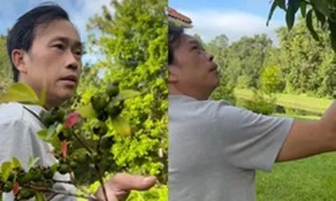 Nửa sau cuộc đời của NSƯT Hoài Linh
