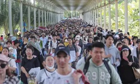 Từ giữa tháng 6, toàn bộ người dân Việt Nam được miễn phí 1 dịch vụ