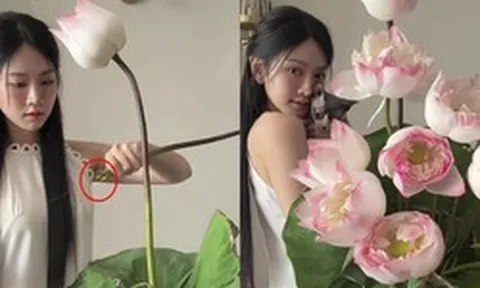 Lê Bống cắm hoa sen “chọc giận” 1 triệu người