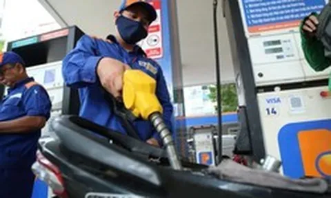 Tiếp tục tăng cường kiểm tra, giám sát chặt chất lượng xăng E10
