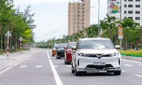 VinFast ở đâu trên bản đồ thị phần ô tô Việt Nam sau 6 tháng đầu năm?