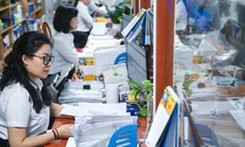 Quy định mới về bậc nghề nghiệp, tiền lương theo vị trí việc làm
