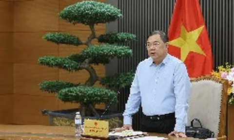 Dự án chưa từng có tiền lệ của Việt Nam có diễn biến mới, Phó Thủ tướng yêu cầu làm ngay 1 việc