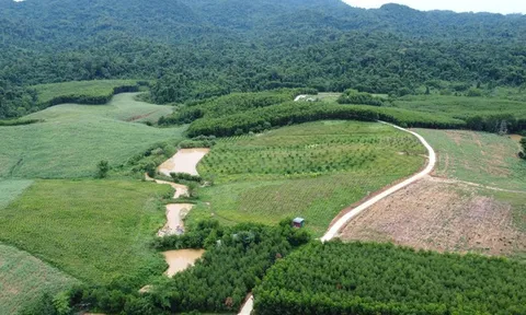 Gần 20 năm lập làng, hàng trăm "thanh niên" U50 vẫn mỏi mòn chờ sổ đỏ