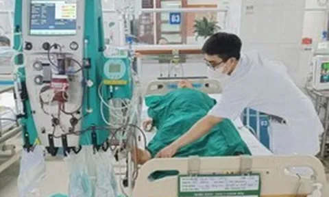 Ăn mật cá trắm, cụ ông suýt mất mạng phải lọc máu