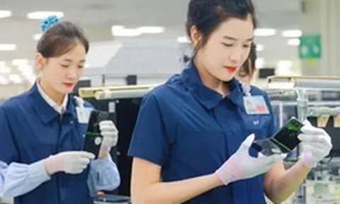 Người sử dụng lao động vi phạm về tiền lương, giờ làm việc xử phạt thế nào?