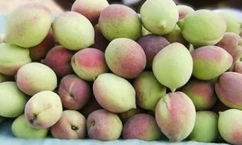 Loại quả "chống viêm tự nhiên", chỉ số đường huyết thấp đang bán đầy chợ Việt: Siêu bổ dưỡng, chuyên gia khuyên nên ăn nhiều