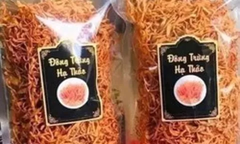 Đông trùng hạ thảo sấy khô rẻ như rau, công dụng thế nào?