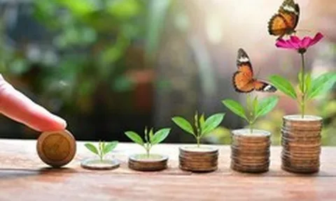 Chuyên gia chỉ ra nhóm DN vừa trả cổ tức tiền mặt đều, vừa đảm bảo tiềm năng tăng trưởng dài hạn
