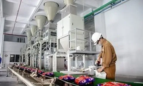 Hóa chất Đức Giang (DGC) muốn chia cổ tức bằng tiền mặt tỷ lệ 80%, lợi nhuận sau thuế quý 2/2026 giảm 50%