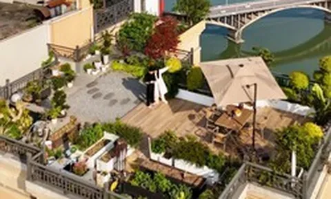 Biến sân thượng tầng 32 của penthouse thành vườn rau, ao cá: Lại 1 tác phẩm kinh điển của "Pháp sư Trung Hoa"