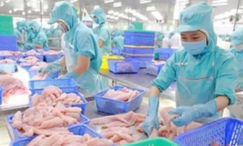 Giữa tháng 7, thu ngân sách nhà nước hoàn thành 65,5% dự toán