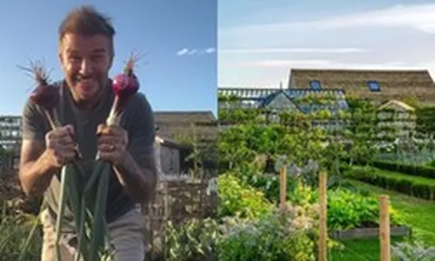 Căn nhà để nuôi gà của David Beckham
