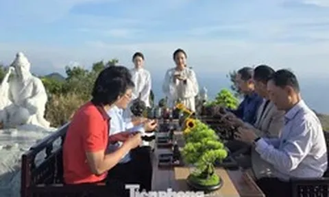 Mở tour nơi tỷ phú Bill Gates thưởng trà: Vì sao chỉ đón 6 khách?