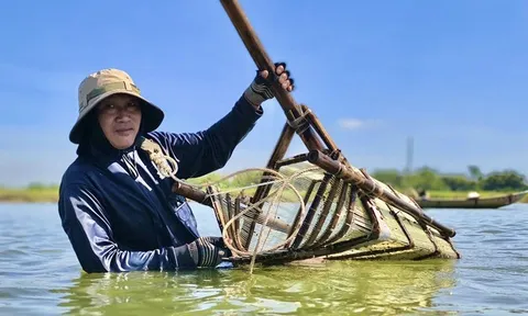 Theo chân “thợ săn” don dưới lòng sông Trà Khúc