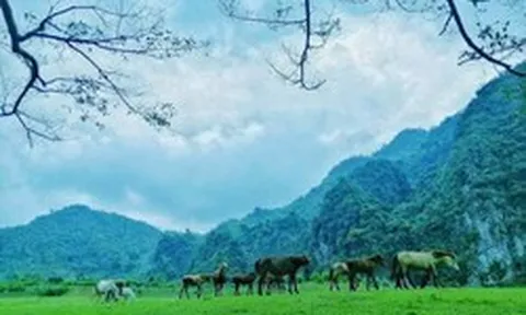 Không phải Sa Pa, đây là nơi được ví như "Mông Cổ thu nhỏ" của Việt Nam: Vừa lọt đề cử tốt nhất thế giới