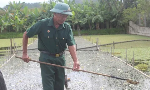 Cựu chiến binh quê Bác làm kinh tế thành công từ mô hình nuôi ốc bươu đen