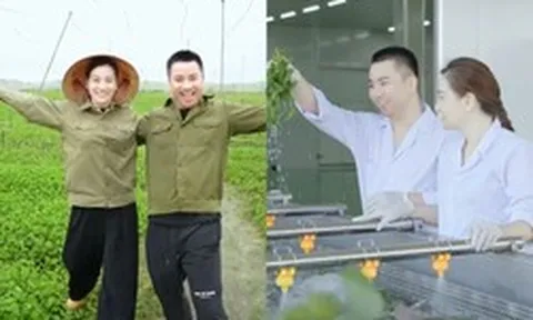 Vợ chồng Hữu Công quảng bá bột rau detox rầm rộ cỡ nào trước khi bị tiêu hủy gần 76.000 sản phẩm, xử phạt?