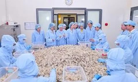 Trung ương Hội Liên hiệp Phụ nữ Việt Nam làm việc tại Yến sào Khánh Hòa