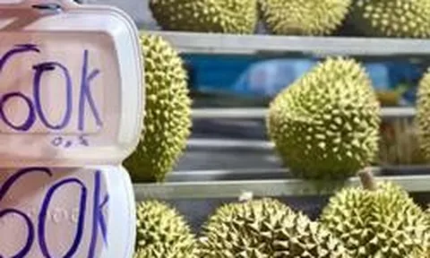 Xuất khẩu sầu riêng tốt, vì sao giá trong nước lại rẻ?