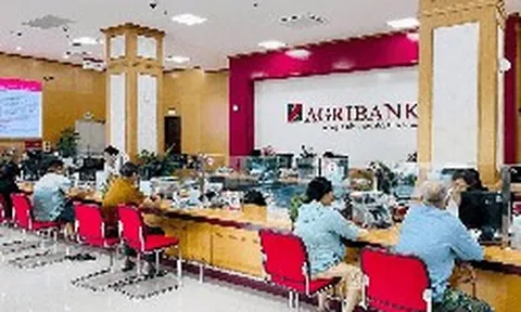 Lãi suất ngân hàng 2/8 tại Agribank, Vietcombank, BIDV, VietinBank, MB, Sacombank, HDBank,...