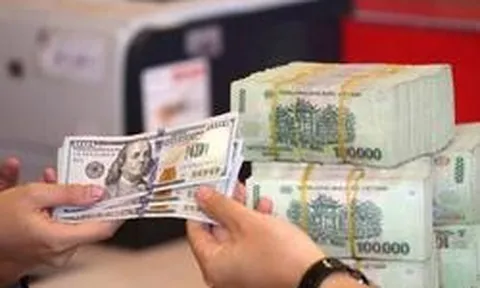 Ngày 7/8: Tỷ giá trung tâm tăng 30 đồng