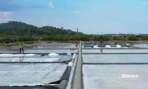 Giữ hồn làng muối 300 năm tuổi, mở lối sinh kế cho diêm dân