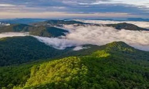 Không phải Sa Pa, Việt Nam có 1 nơi mát mẻ quanh năm, chỉ từ 18 độ C, được đánh giá là vương quốc của các loài lan