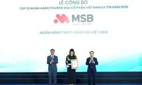 MSB được Vietnam Report vinh danh tại hai bảng xếp hạng uy tín năm 2026