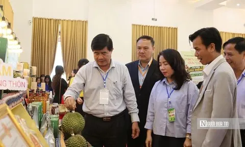 Lễ hội Sầu riêng Đắk Lắk 2026: Nữ bí thư xã cùng livestream bán hàng cho người dân, doanh nghiệp